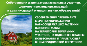 Уважаемые землепользователи! (владельцы земельных участков, лица, арендующие землю) Антинаркотическая комиссия МО "Тайшетский район" НАПОМИНАЕТ